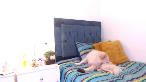 Cedrixx10 online show from 12/16/25, 09:31