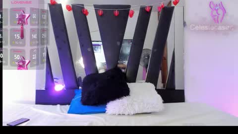 Snapshot of celestecastro_ chatting on 03/09/26, 06:23 Mariana online show from 03/09/26, 06:23