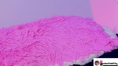 Snapshot of celestte_evans_1 chatting on 12/05/25, 07:39 celestte_evans_1 online show from 12/05/25, 07:39