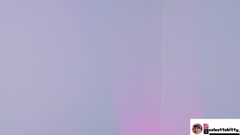 Snapshot of celestte_evans_1 chatting on 12/14/25, 03:01 celestte_evans_1 online show from 12/14/25, 03:01