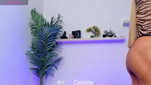 Snapshot of cellesteevans chatting on 01/25/25, 04:13 Celeste online show from 01/25/25, 04:13