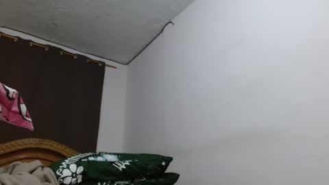 Snapshot of cesar_master_ chatting on 10/17/25, 07:27 cesar_master_ online show from 10/17/25, 07:27