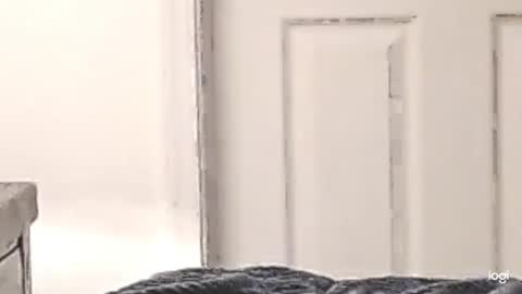 Snapshot of cfnmkinky28 chatting on 12/24/24, 03:05 cfnmkinky28 online show from 12/24/24, 03:05