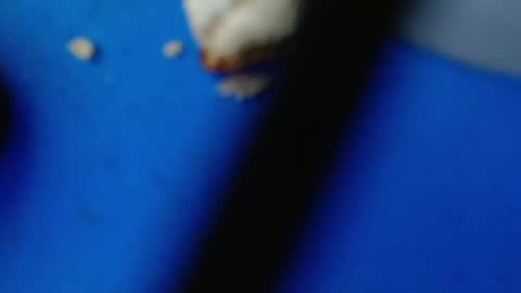 Snapshot of cguffey2284 chatting on 03/07/25, 04:24 cguffey2284 online show from 03/07/25, 04:24