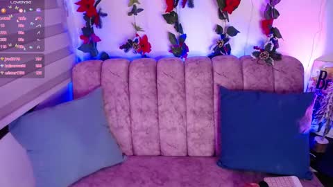 charlotte online show from 12/15/24, 09:31