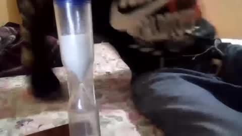 Snapshot of chanok33 chatting on 02/27/25, 05:34 chanok33 online show from 02/27/25, 05:34