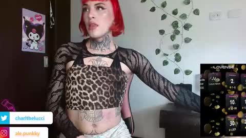 Ale punky online show from 03/26/26, 05:07