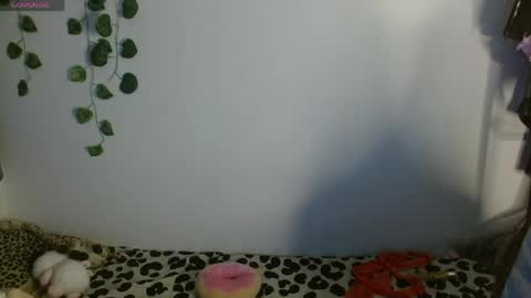 Ale punky online show from 05/13/26, 02:53
