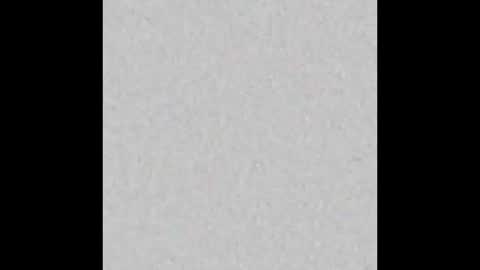 Charlotte online show from 11/20/25, 04:18