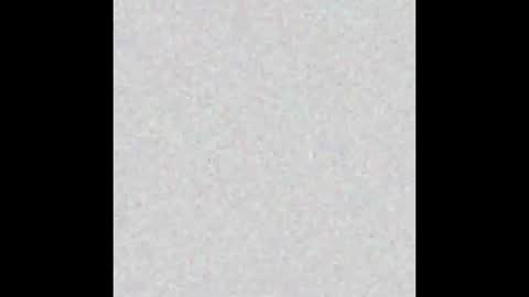  C H A R L O T T E  online show from 09/24/25, 08:06