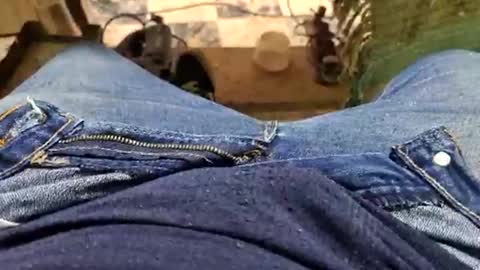 Snapshot of charly2289 chatting on 09/14/25, 01:32 Parcero online show from 09/14/25, 01:32