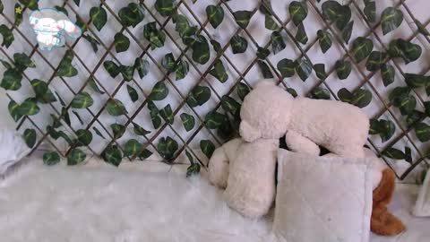 charly_evans60 online show from 02/27/25, 10:09