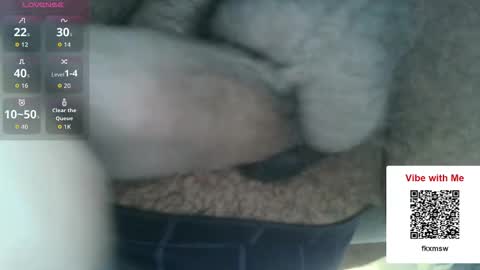 Snapshot of chefjason52 chatting on 12/17/25, 05:19 Fun With Daddys Dick Fantacy Room online show from 12/17/25, 05:19