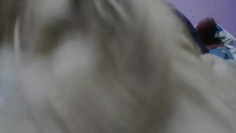 Snapshot of cheliafun chatting on 11/17/25, 02:23 Cheila online show from 11/17/25, 02:23