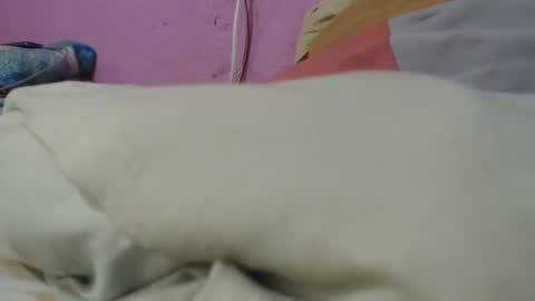 Cheila online show from 06/29/26, 01:33