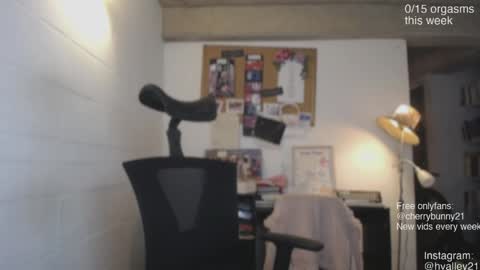 Snapshot of cherrybunny21 chatting on 04/28/26, 02:27 Sarah Prez online show from 04/28/26, 02:27