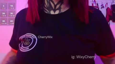 Snapshot of cherrywix chatting on 02/13/25, 02:34 cherrywix online show from 02/13/25, 02:34