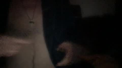 Snapshot of chevalier202 chatting on 06/05/26, 10:26 chevalier202 online show from 06/05/26, 10:26