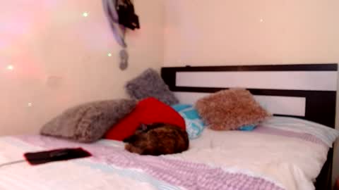 Valentina  online show from 05/12/26, 09:12