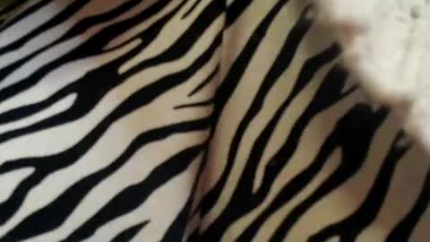 yoursensualparadise online show from 01/28/25, 06:07