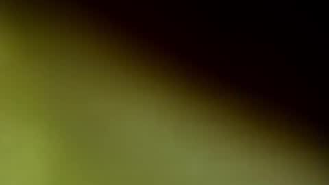 ChloeeThompson online show from 09/20/25, 02:56