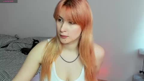 choco_meowx online show from 05/21/26, 09:16