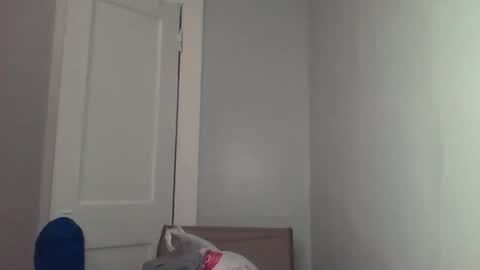 Snapshot of chocolatedolla chatting on 03/04/25, 02:27 chocolatedolla online show from 03/04/25, 02:27