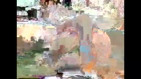 JANE online show from 01/18/25, 12:15