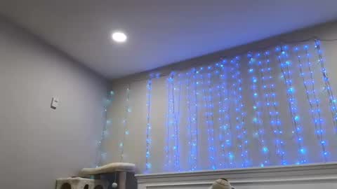 Snapshot of christy_love chatting on 12/29/24, 01:24 Christy Love online show from 12/29/24, 01:24