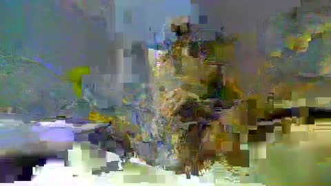 Snapshot of chuck354139 chatting on 02/13/25, 03:14 chuck354139 online show from 02/13/25, 03:14