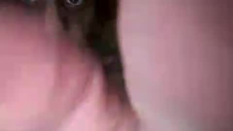 chuckied6969 online show from 07/22/26, 03:04