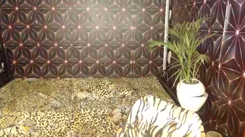 Cindy online show from 01/07/25, 03:35