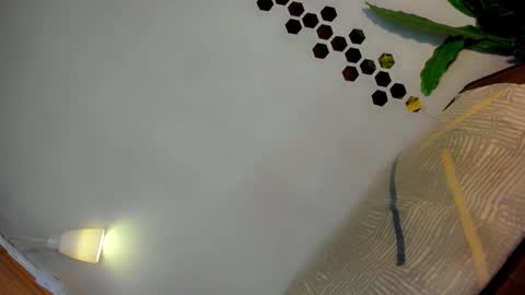 Snapshot of classy_bombshellxx chatting on 01/12/26, 03:17 Amanda trans red one Anna Girl black one online show from 01/12/26, 03:17