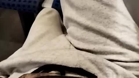 Cocolino  online show from 10/17/25, 05:59