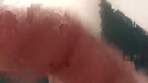 Cockhunter online show from 09/11/25, 12:38