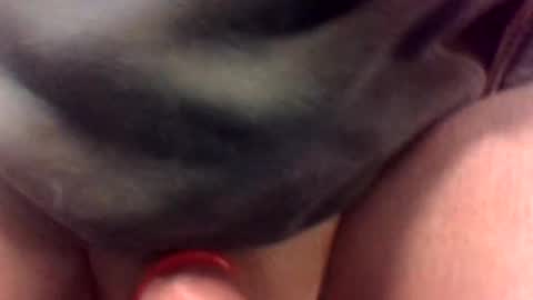 cocksmithog online show from 01/19/25, 11:43