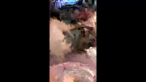 codyadams21 online show from 12/06/24, 09:10