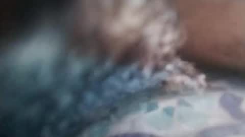 Snapshot of cojroymnamqm chatting on 11/07/25, 05:13 cojroymnamqm online show from 11/07/25, 05:13