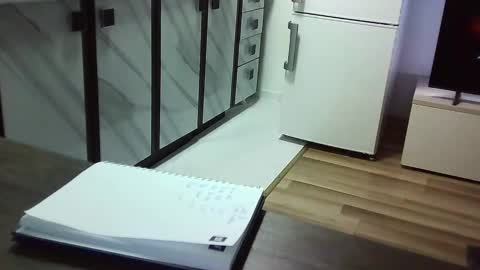 collegegymbro online show from 12/13/24, 09:41