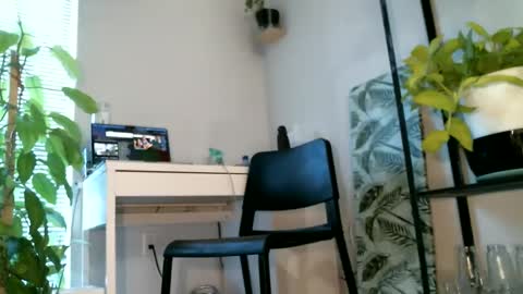 Snapshot of colorfullydark chatting on 02/28/25, 05:37 Noni online show from 02/28/25, 05:37