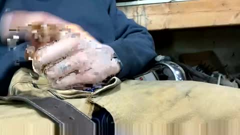 Snapshot of copart84 chatting on 12/28/24, 05:03 copart84 online show from 12/28/24, 05:03