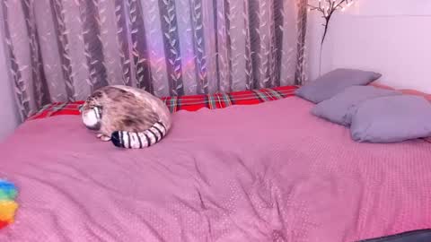 Alice online show from 03/01/25, 11:58