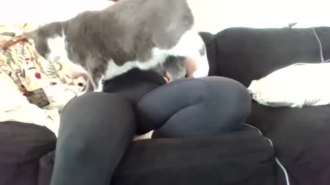 Snapshot of courtxoxo_o chatting on 02/20/25, 09:31 courtxoxo_o online show from 02/20/25, 09:31