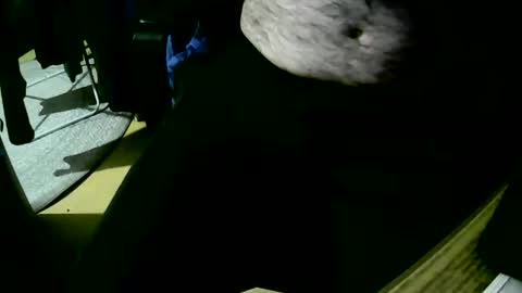 Snapshot of coyote017 chatting on 10/22/25, 06:18 coyote017 online show from 10/22/25, 06:18