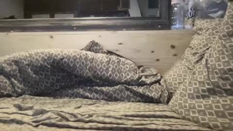 crapaud75018 online show from 01/08/25, 06:20