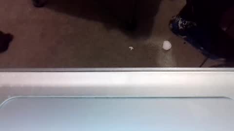 craveitoften online show from 01/31/25, 01:11