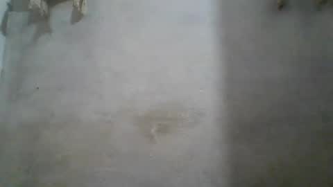 crazzy_booy online show from 06/11/26, 04:32