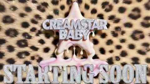 CHEETA  KITTEN online show from 05/14/26, 10:49