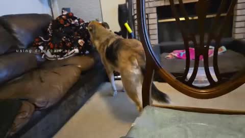 The hopeless romantic online show from 09/27/25, 08:08