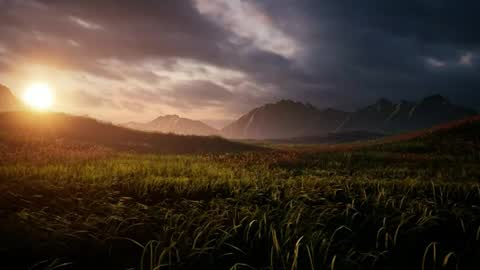 The hopeless romantic online show from 10/11/25, 07:45